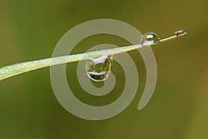 Close up Dew drops on spring grass