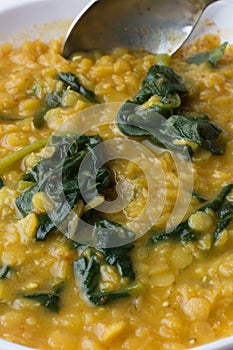 Close-up of dhal or red lentils and spinach dish