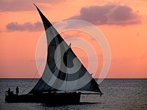 Close up of dhow sailing gracefully by at sunset, Zanzibar