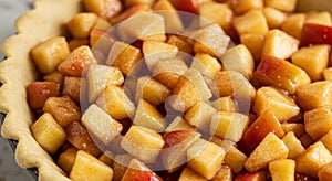 Close Up of Diced Apples and Cinnamon in a Pie Crust
