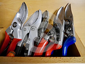 Close up of different pruning shears in a wooden tool shed. High quality photo