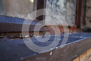 Close up of a dirty broken boarded up window sill on an abandoned building