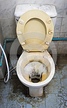 Close up dirty flush toilet in house.