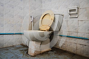 Close up dirty flush toilet in house.