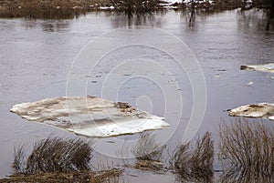 Close-up of dirty ice floes float on the river. Spring, snow melts