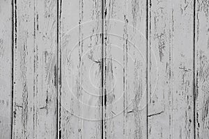 close-up of dirty white planks of construction with old paint, natural wood texture, narrow boards, horizontal, wallpaper,
