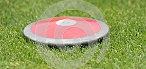 Close up of discuses on grass