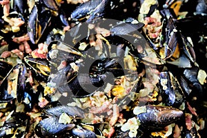 Close up of a dish a French mussels, Bordeaux, France