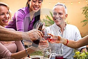 Close-up of diverse happy friends having fun, toasting with wine and beer during garden dinner party.