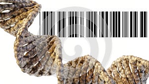 close up DNA helix and barcode in the white background