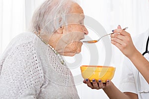 Doctor Hand Feeding Soup To Patient