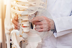 Close up. Doctor is showing vertebrae on skeleton.