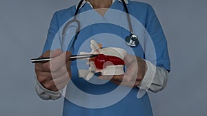 Close up of doctors hand holding a model and pointing at a herniated disc with a pen, isolated on a white background