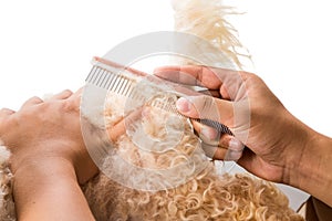 Close up of dog fur combing and de-tangling during grooming