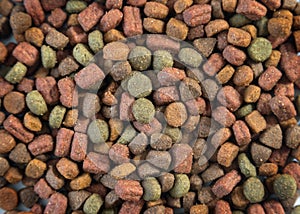 Close up of domestic dry animal food for cats or dogs. Pile of crunchy snacks for pets