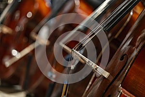 Close up of a double bass neck and strings - Wallpaper - Background