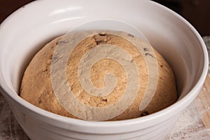 Close-up of dough rising in a bowl