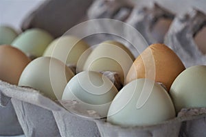Close up dozen heirloom misshapen eggs in paper carton
