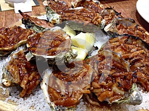 Close up dozen Oysters Kilpatrick in shells on bed sea salt photo