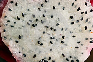 Close up of Dragon fruit