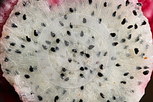 Close up of Dragon fruit