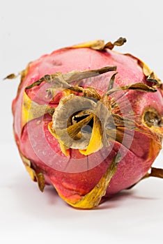 Close-up Dragon fruit