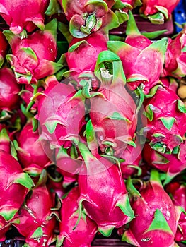 Close up Dragon fruit abstract background texture