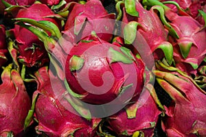 Close up of Dragon fruit covered in full screen