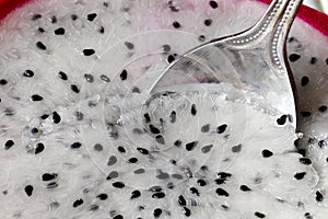 Close up of dragon fruit flesh and silver spoon