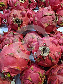 a close up of dragon fruits at the rack