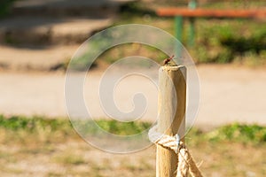 Close-up of dragonfly on wooden pillar with rope