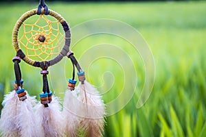 Close up of Dream Catcher on meadow background with soft vintage photo