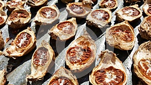 Close-up dried areca nut, betel nut, thailand