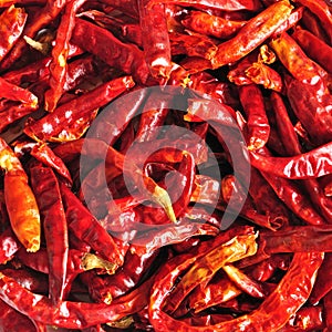 Close up of dried chilli, Thai food ingredient