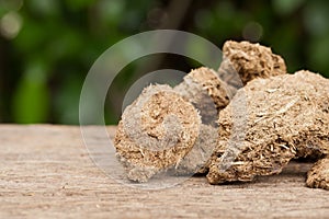 Close up dried cow dung on a wood, Natural background