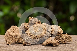 Close up dried cow dung on a wood, Natural background