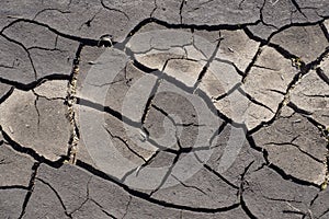 Close-up of dried, cracked dirt. Abstract background for wallpaper