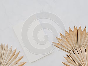 Close up of dried fan shaped tropical palm tree leafs and white vintage notepad cover on white background