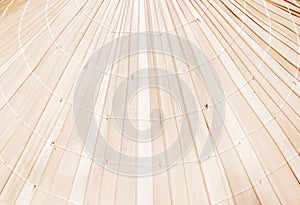 Dried palm leaf  texture and  white thread pattern on background