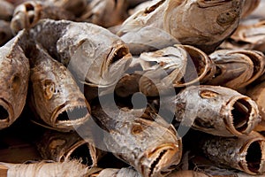 Close-up of dried salted fish