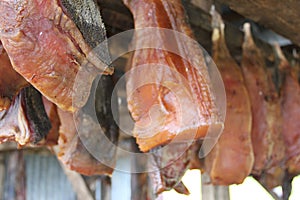 Close-up of dried shark meat, Iceland