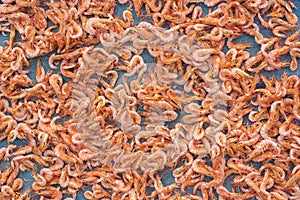 Close up of dried shrimp pattern.