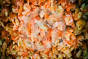 Close-Up Dried Shrimps