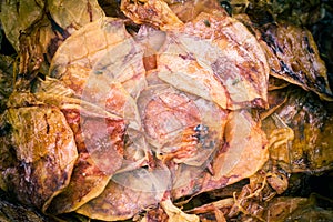 Close-Up Dried Squids