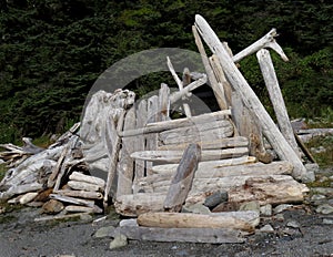 Close-up of a driftwood shelter.