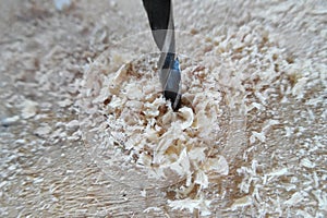 Close-up of the drill head of a cordless screwdriver on wood with sawdust. Wood Drill Sawdust Detail Closeup Macro
