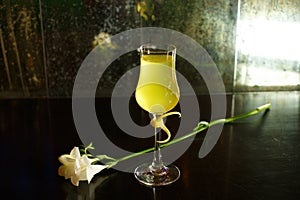 Close up drink shot of a delicious fresh yellow limoncello lemon liqueur cocktail in a transparent wine glass standing on a table