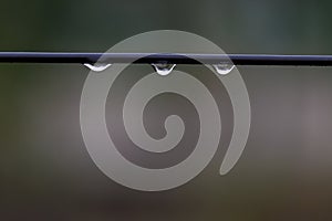 Close-up of a drop of water against a nature background