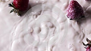 Close-up drops of milk and a bunch of ripe red strawberry fruit falls into a white plate with milk splashes. Top view