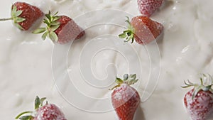 Close-up drops of milk and a bunch of ripe red strawberry fruit falls into a white plate with milk splashes. Top view